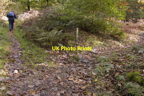 Photo 6"x4" Footpath junction on track to Natty Bridge Broughton Mills c2010