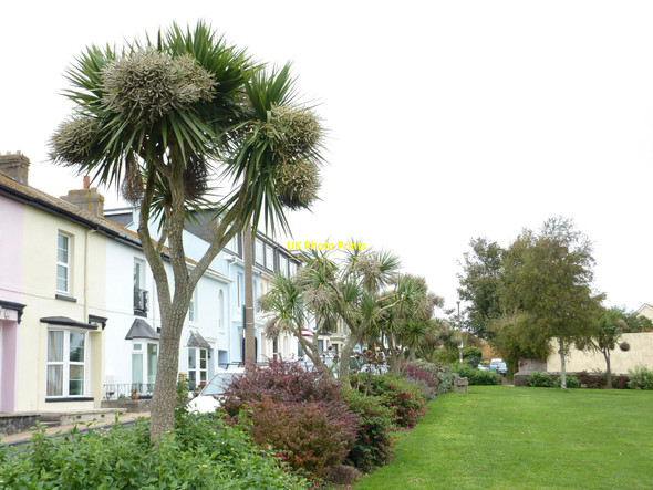 Photo 6"x4" Furzeham Green, Brixham Brixham c2010