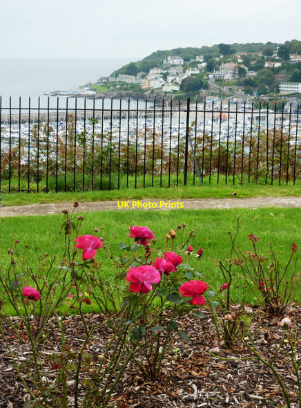 Photo 6"x4" Bonsey Rose Gardens, Furzeham, Brixham Brixham c2010 P1