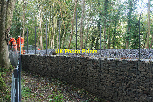 Photo 6"x4" Plymouth: Plym Valley Railway 2 Leigham c2010