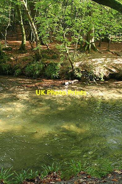 Photo 6"x4" Plymouth: the Plym in Bickleigh Vale Leigham c2010