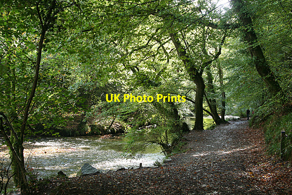Photo 6"x4" Plymouth: Bickleigh Vale Leigham c2010