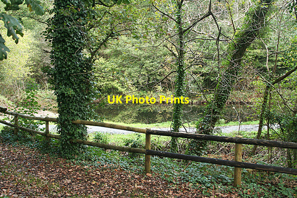 Photo 6"x4" Gulworthy: millpond Morwellham Quay c2010