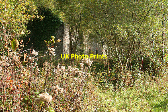 Photo 6"x4" Gulworthy: ruined cottages at Newquay Morwellham Quay c2010