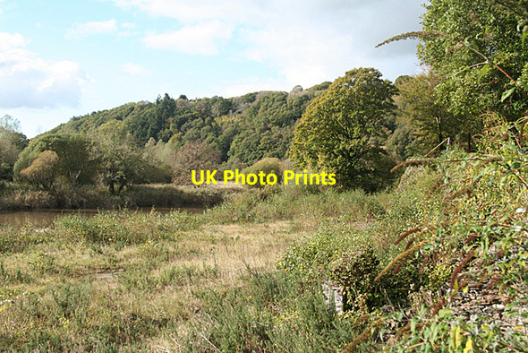 Photo 6"x4" Gulworthy: the Tamar at Newquay Morwellham Quay c2010