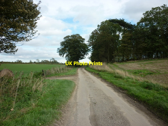 Photo 6"x4" Low Balk Road towards Bishop Burton Bishop Burton c2010