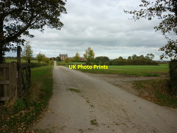 Photo 6"x4" The way to Mount Pleasant Farm Bishop Burton c2010