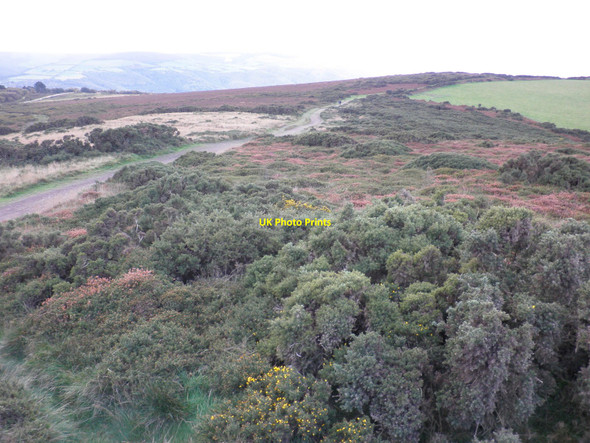 Photo 6"x4" View to the west, from Selworthy Beacon Allerford\/SS9047 c2010