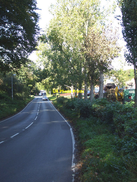 Photo 6"x4" Hambro Hill Rayleigh c2010