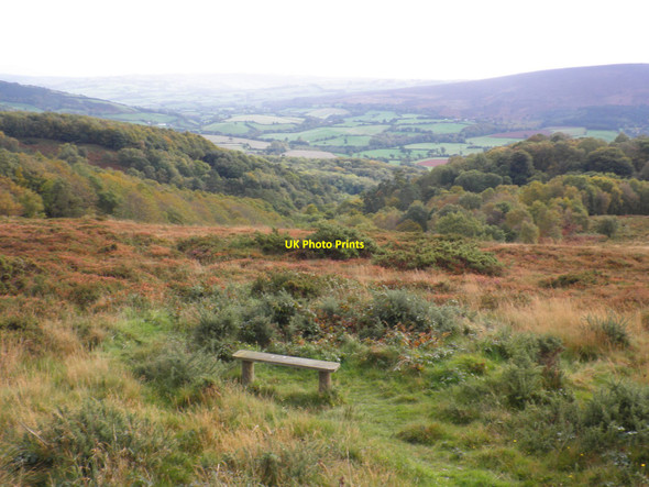 Photo 6"x4" Selworthy Combe Holnicote c2010