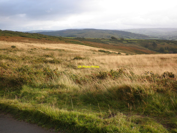Photo 6"x4" View towards Combeshead Holnicote c2010