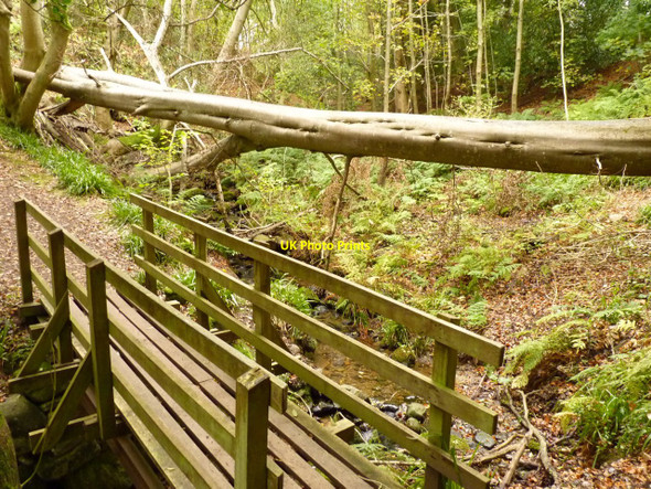 Photo 6"x4" Choice of routes across the burn Thornyhill\/NO6372 c2010