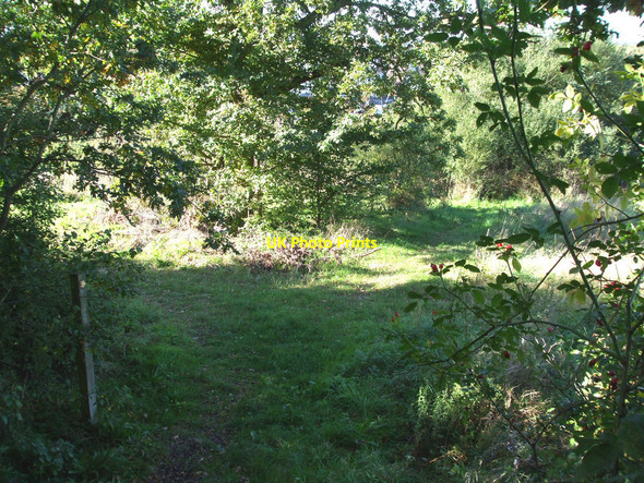 Photo 6"x4" Footpath divides Rayleigh c2010