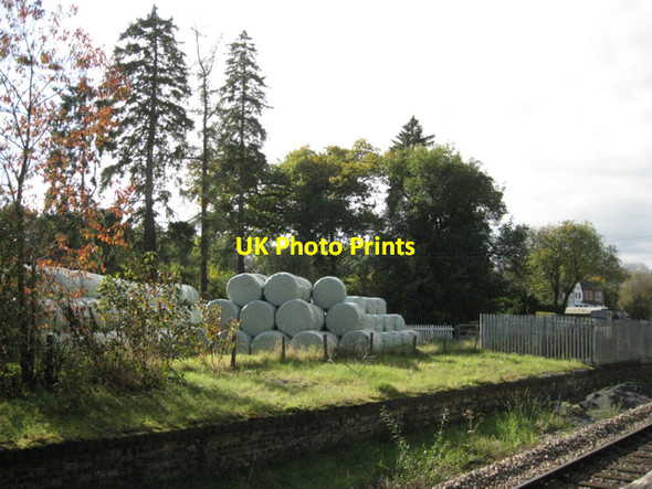 Photo 6"x4" Bales and conifers, Cwmthrallyn Crossgates\/Y Groes c2010