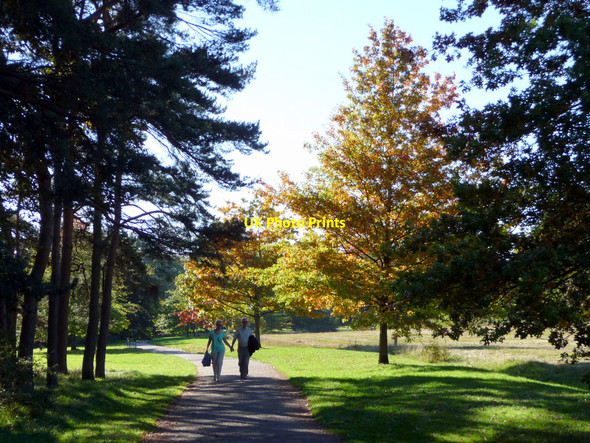 Photo 6"x4" Oakwood Park, London N14 Southgate\/TQ3094 c2010
