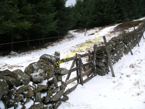 Photo 6"x4" Tracks and wall, Glentress Forest Williamslee c2006