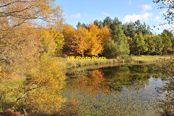 Photo 6"x4" Lochan near Ardclach Ferness c2010