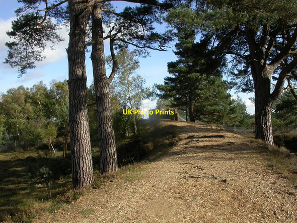 Photo 6"x4" Shatterford, road bridge Furzey Lodge c2010