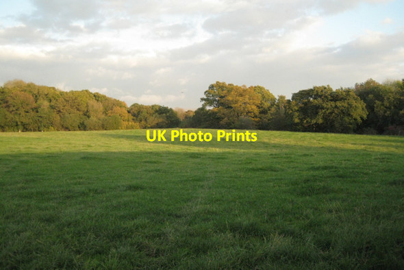Photo 6"x4" Field south of Llwynmelyn Crossgates\/Y Groes c2010