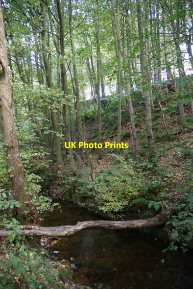Photo 6"x4" Glencorse Burn Woodhouselee c2010