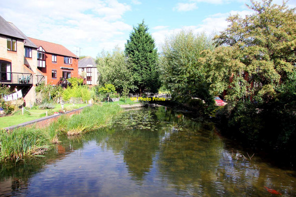 Photo 6"x4" Thames backwater in Reading Reading c2010