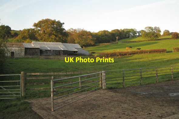 Photo 6"x4" Fields, barns and cattle, Llwynmelyn Fron\/SO0965 c2010