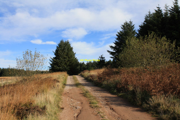Photo 6"x4" Track to Gliding Club Falgunzeon c2010