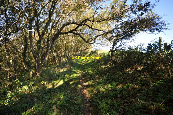 Photo 6"x4" Hannaburrow Lane Cross\/SS4539 c2010