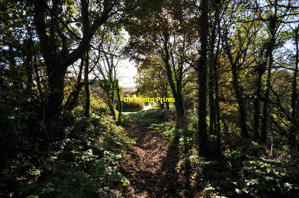 Photo 6"x4" Hannaburrow Lane near Saunton Court Saunton c2010