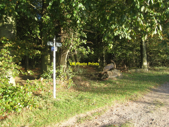 Photo 6"x4" The junction of National Cycle Route 1 and Owmby Wold Lane Searby c2010