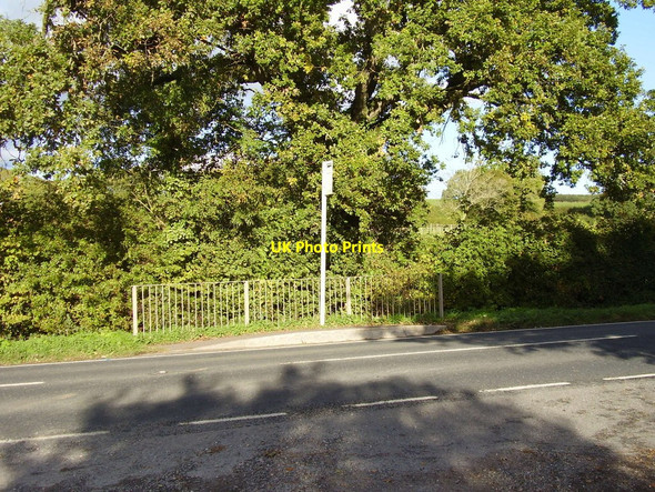 Photo 6"x4" Higher Hawkerland Bus stop Nine Oaks c2010