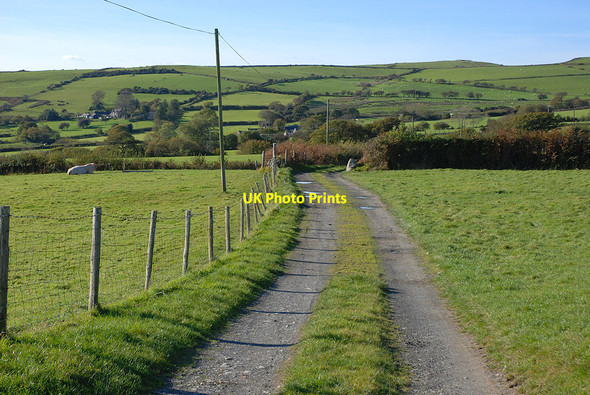 Photo 6"x4" Track to Waun farm Llanegryn c2010