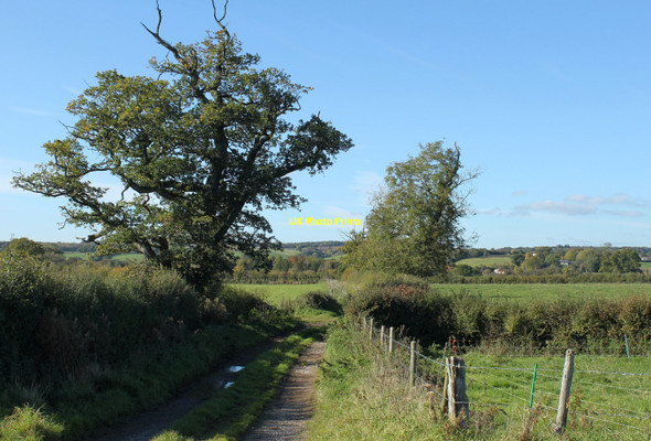 Photo 6"x4" 2010 : Track to Witham Friary Witham Friary c2010