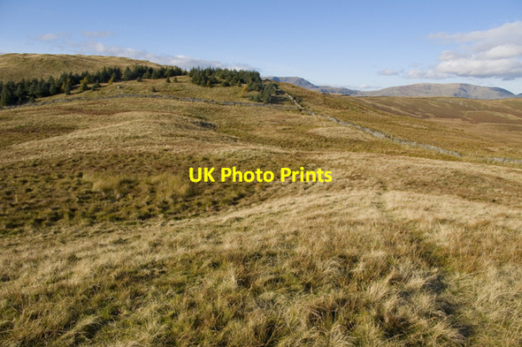 Photo 6"x4" On Capple Howe High Green\/NY4103 c2010