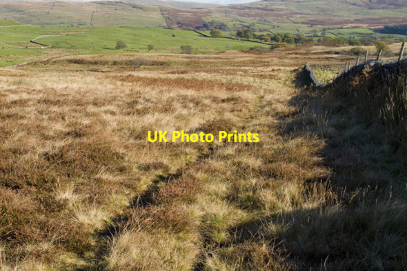 Photo 6"x4" Wall and path up Capple Howe High Green\/NY4103 c2010