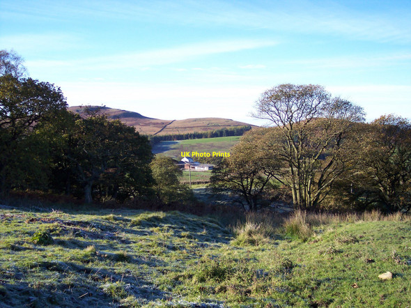 Photo 6"x4" Early morning frost on Norton Tower Hill Hetton c2010