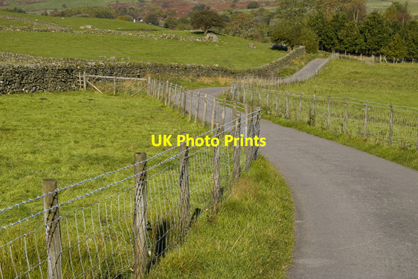 Photo 6"x4" Lane to High House farm Windermere\/SD4198 c2010