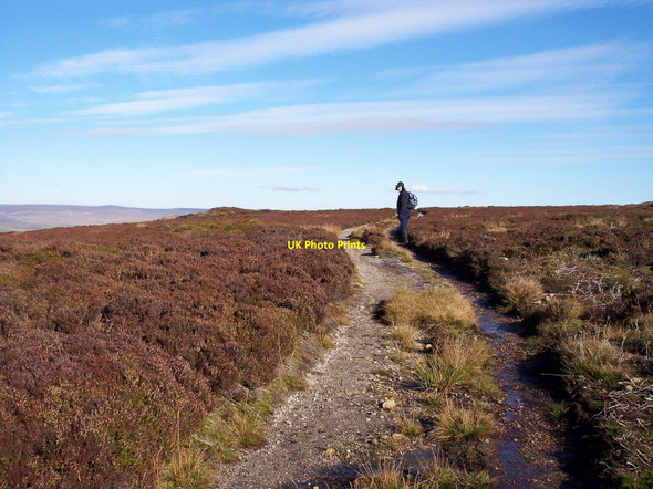 Photo 6"x4" The track around Thorpe Fell Top Thorpe\/SE0161 c2010