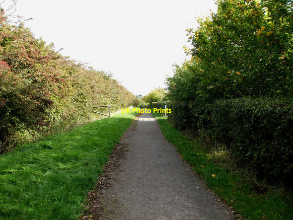 Photo 6"x4" Sweyne Park Bridleway Rayleigh c2010