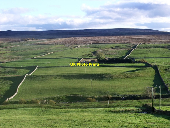Photo 6"x4" Across the Greta Valley Gilmonby c2010