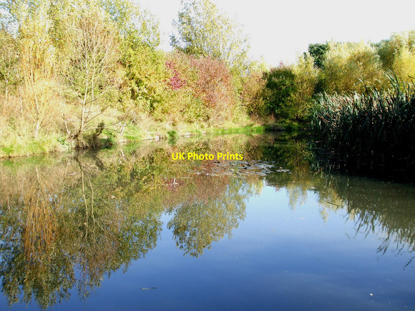 Photo 6"x4" Sweyne Park, the hidden pond Rayleigh c2010