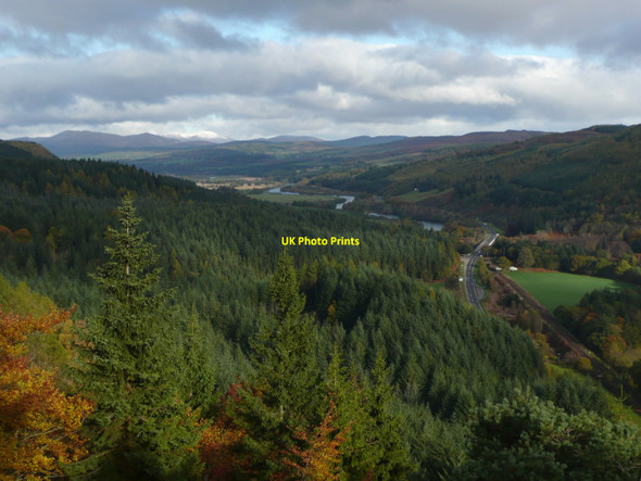 Photo 6"x4" Craigvinean Forest Inver\/NO0142 c2010