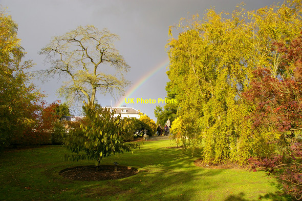 Photo 6"x4" West Lodge Park Arboretum, Hadley Wood Hadley Wood c2010