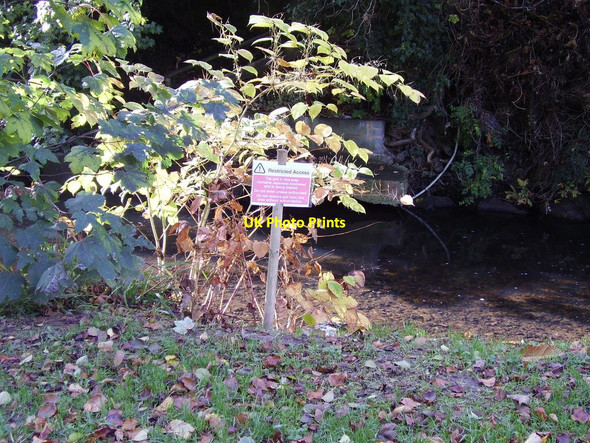 Photo 6"x4" The Invaders of the River Sid Sidmouth c2010