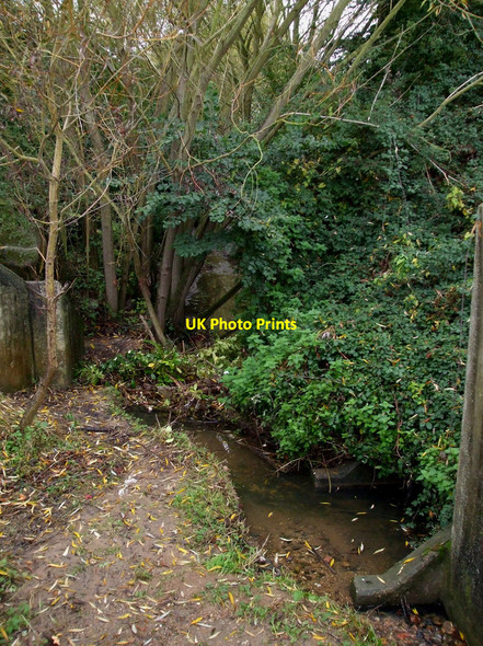 Photo 6"x4" Stream to the pond Rayleigh c2010