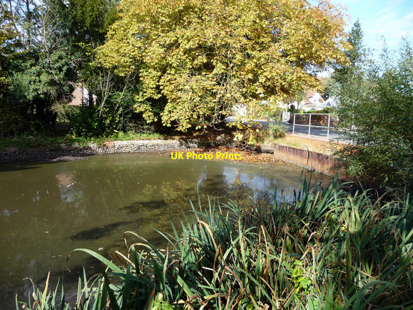 Photo 6"x4" Pond on corner of Staithe Road, Sutton, Norfolk Stalham Green c2009