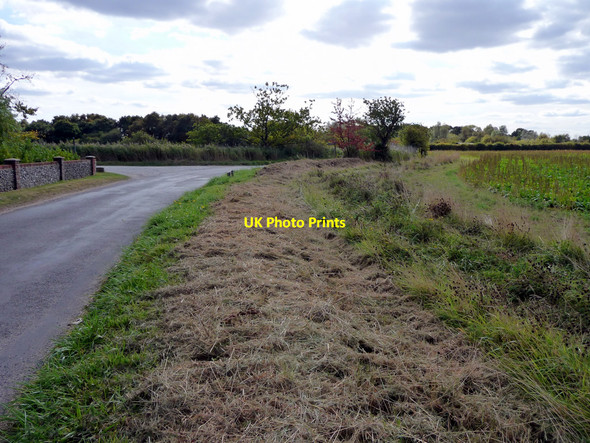 Photo 6"x4" Road near Hickling, Norfolk Hill Common c2009