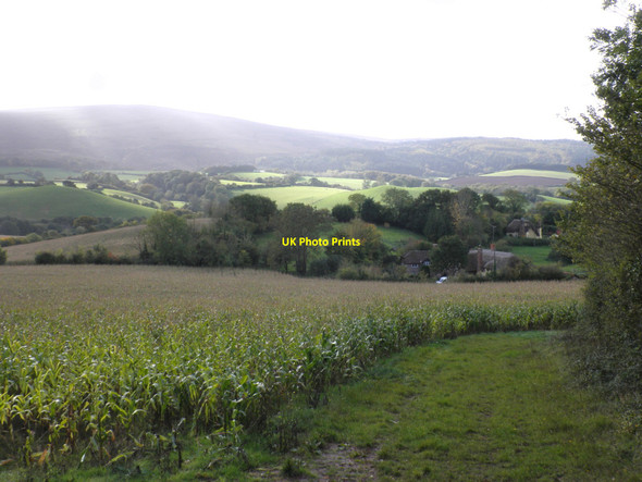 Photo 6"x4" View towards Luccombe Hill Cowbridge\/SS9542 c2010