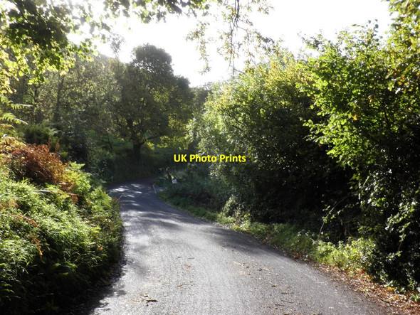 Photo 6"x4" Country lane, near Wootton Knowle Cowbridge\/SS9542 c2010