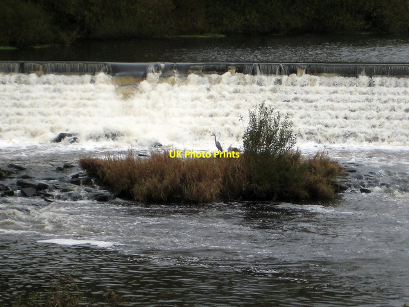 Photo 6"x4" Heron, Kirkthorpe Weir Wakefield\/SE3320 c2010
